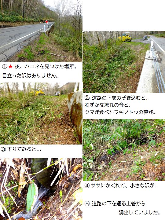 地下水脈を探す