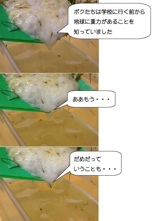 オタマ1