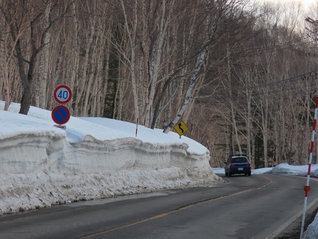 190407の残雪