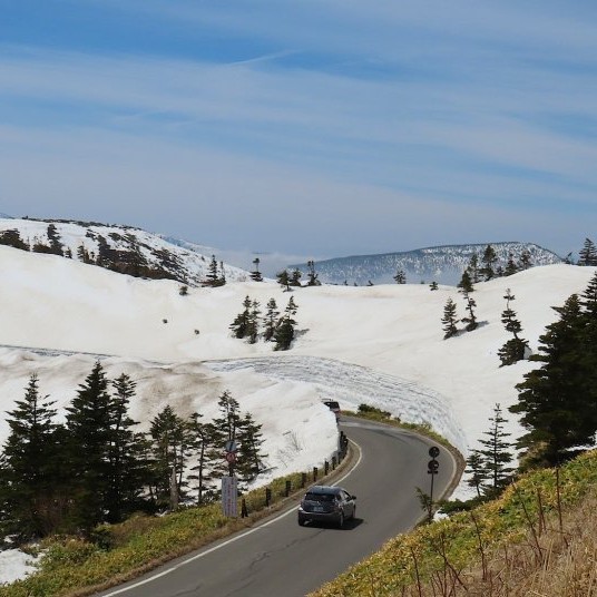 森の画廊「北の雪原」 森の画廊「北の雪原」 森の画廊「北の雪原」 【公式通販】