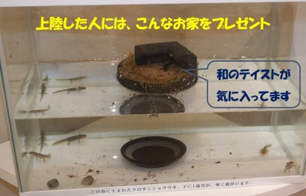 上陸2