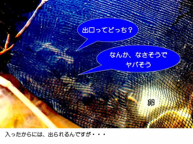 出られない人たち