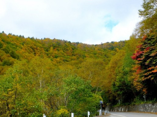 紅葉台