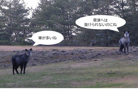 いつもの場所で