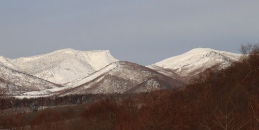 朝の毛無峠方面