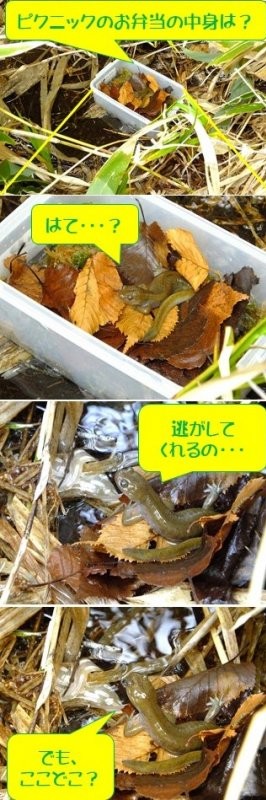 放逐