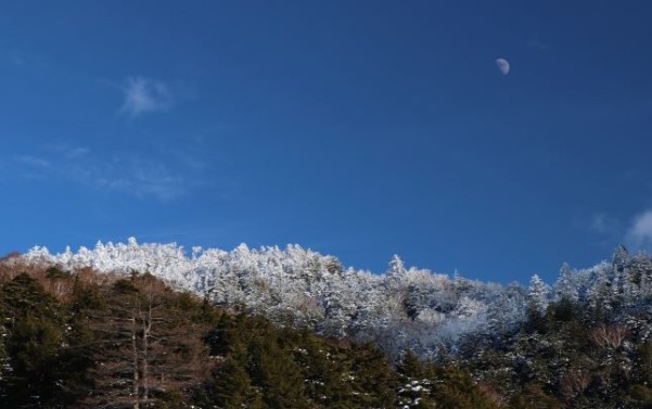 霧氷と月